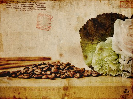 Can-you-smell-the-coffee-16.jpg