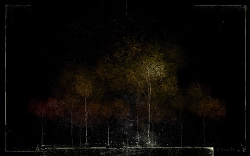 Forest_by_sendaa.jpg