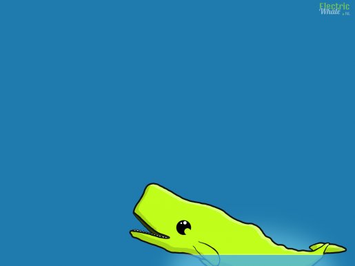 Whale-Wallpaper-01.jpg
