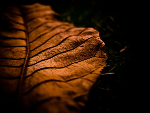 and_then_I_fall____by_baspunka.jpg