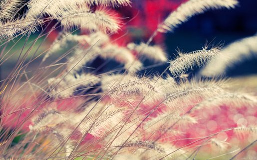 beautiful_day_by--.jpg