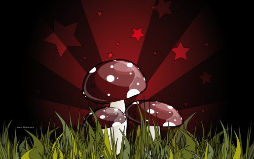 funghi1680x1050.jpg