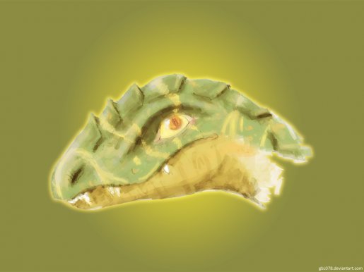 lizard_1024x768_by_gbL078.jpg
