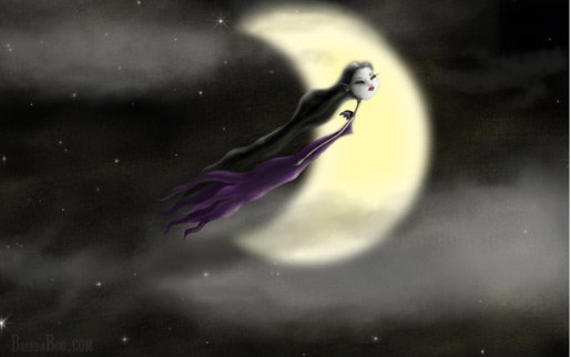 moonlight_flight_BrendaBoo_-.jpg