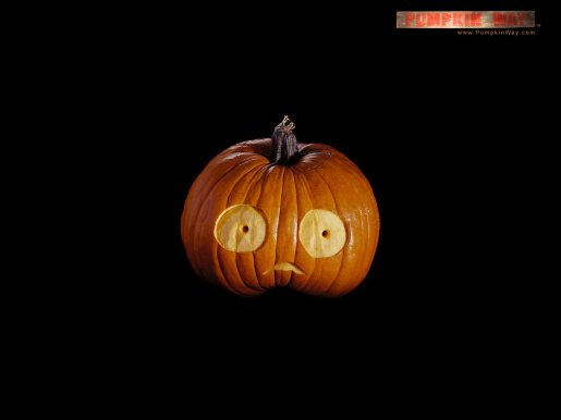 pumpkinway9_1600.jpg