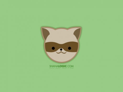 shanalogicraccoon.jpg