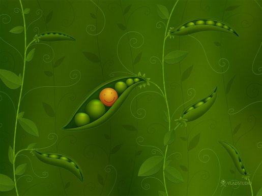 vladstudio_wheresmilesareborn_2009_1600x1200.jpg