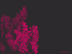 02-1600.gif