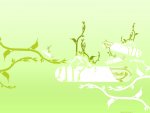botany_1600.jpg