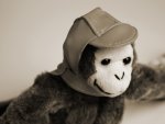 monkey_paper_1920x1200.jpg