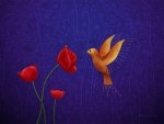 vladstudio_hummingbird_1600x1200.jpg