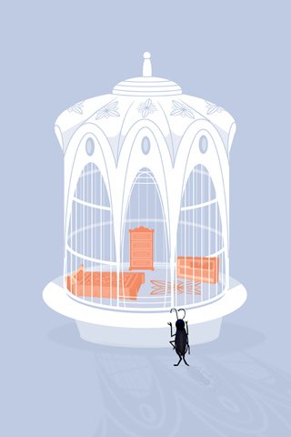 CricketCage.jpg