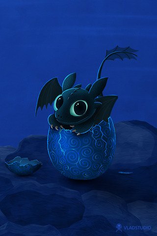 vladstudio_night_fury_320x480.jpg
