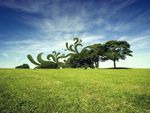 The Tree Eater
