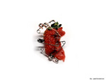 Strawberry Meat