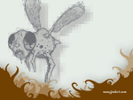 The Meat Fly