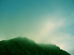 Green Fog