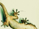 Geco