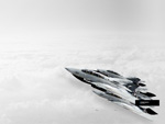 Flight Waltz