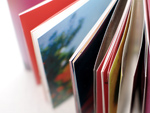 Bug In Book