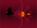 Black Crow King