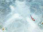 Koi