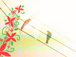 Blooming