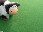 Fury Cow