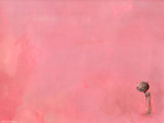 Small Deer in a Large Pink Space
