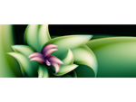 Dolphin Fantasy Flower