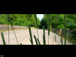 Brunell Walkway
