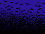 Bats Are Good