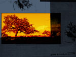 Background V.14
