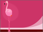 Pink Flamingo
