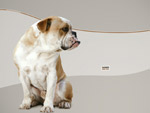 Doggy