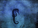 Blue Seadragon