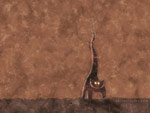 Bob